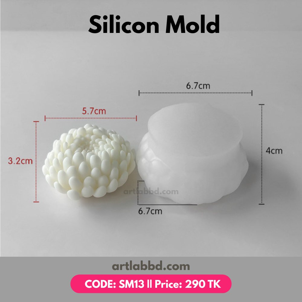 Silicon Mold – SM13