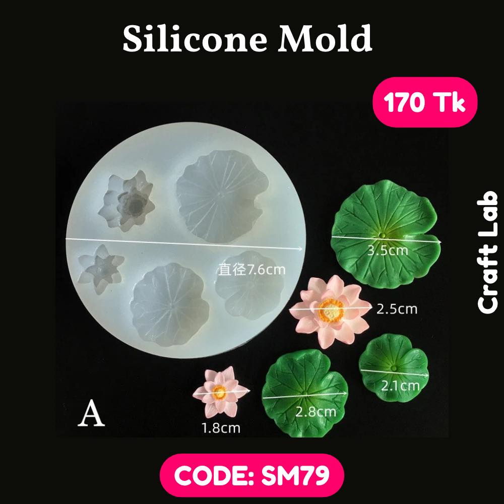 Silicone Mold – SM79