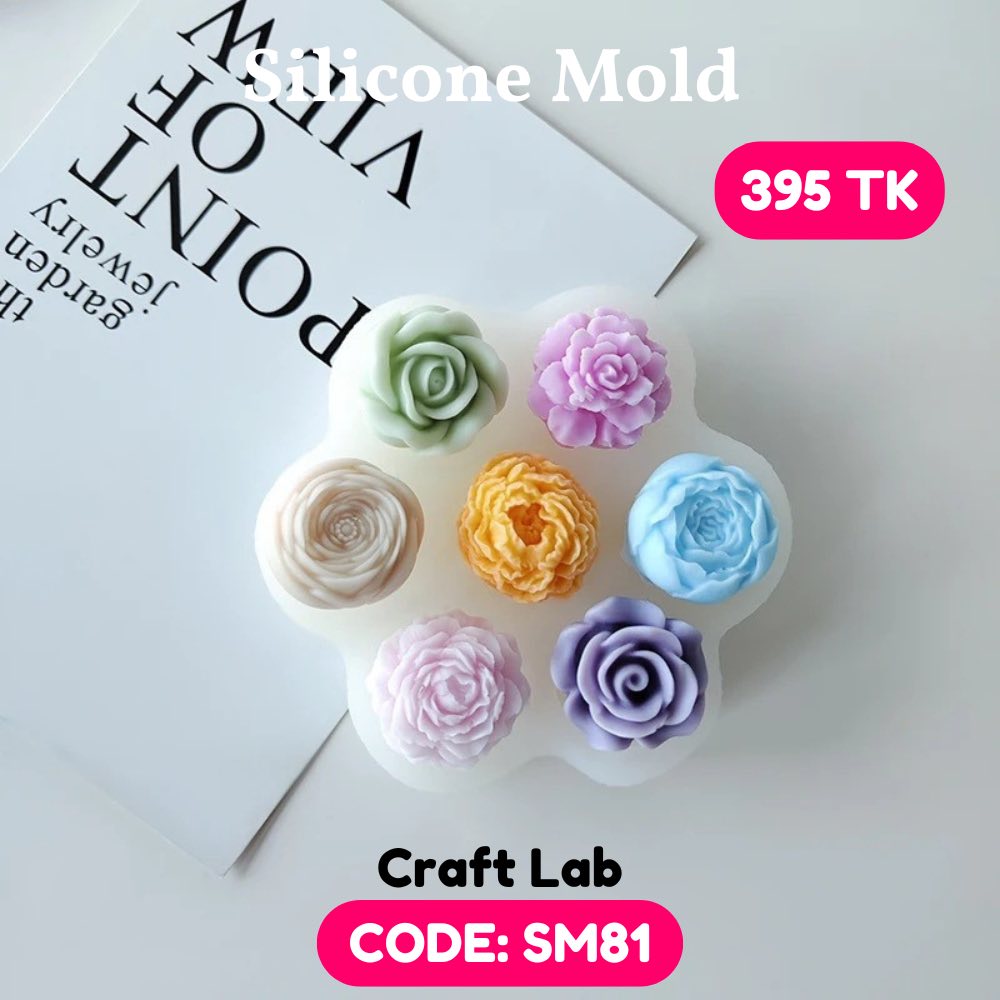 Silicone Mold – SM81
